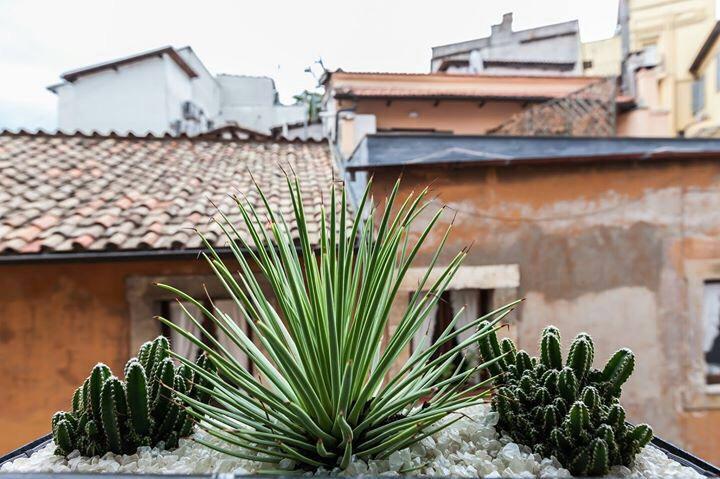 Navona Penthouse Apartamento Roma Exterior foto